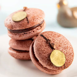 "ITC Kakatiya Coffee and Caramel Box of 6 Coffee and Caramel Macarons. - Click here to View more details about this Product